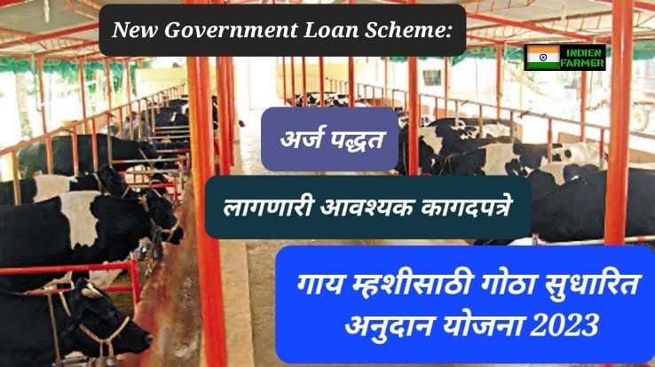 New Government loan scheme