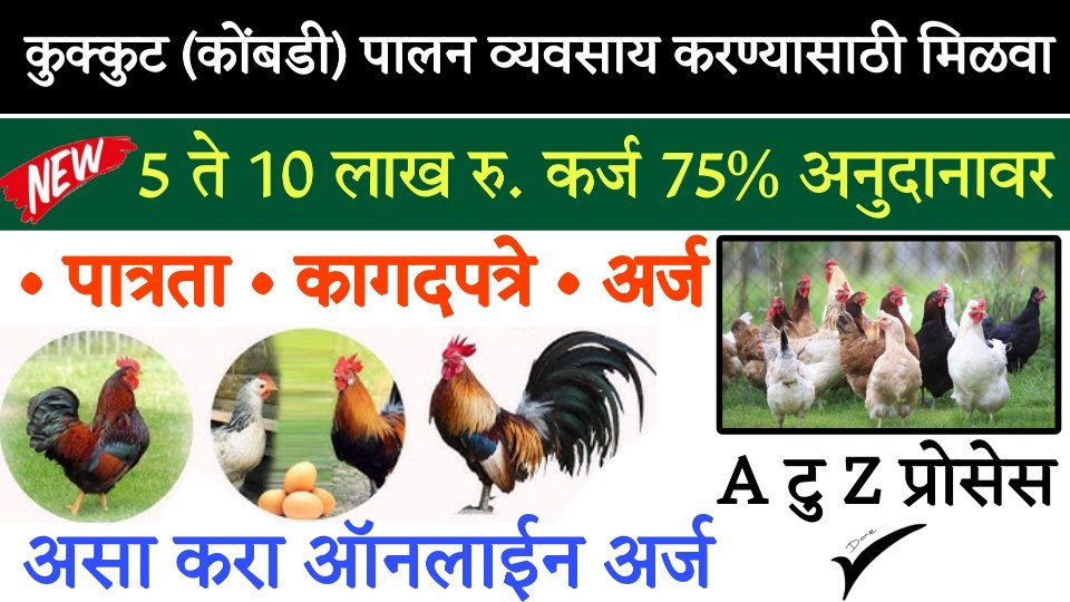 bank of baroda pashupalan loan 🐔 कूकुटपालन व्यवसाय सुरू करण्यासाठी मिळवा 💰5 ते 10 लाख रुपये कर्ज 75% अनुदान